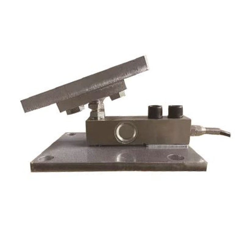 Weighing Module
